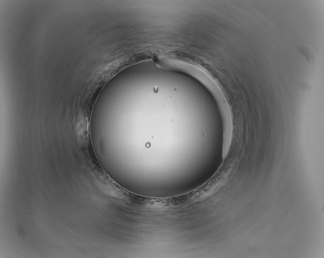 X0000113180624200909041344