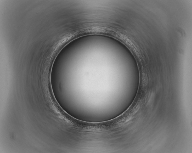 X0000113180625200909041343