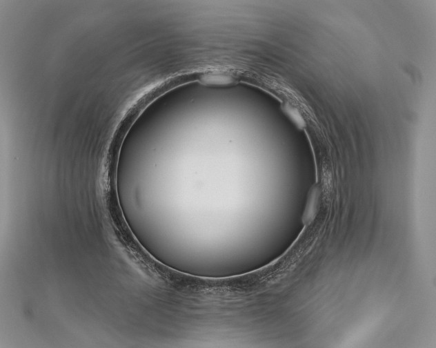X0000113180628200909041344