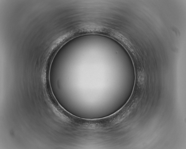 X0000113180629200909041344