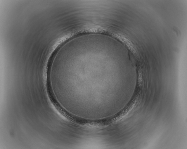X0000113180630200909041344