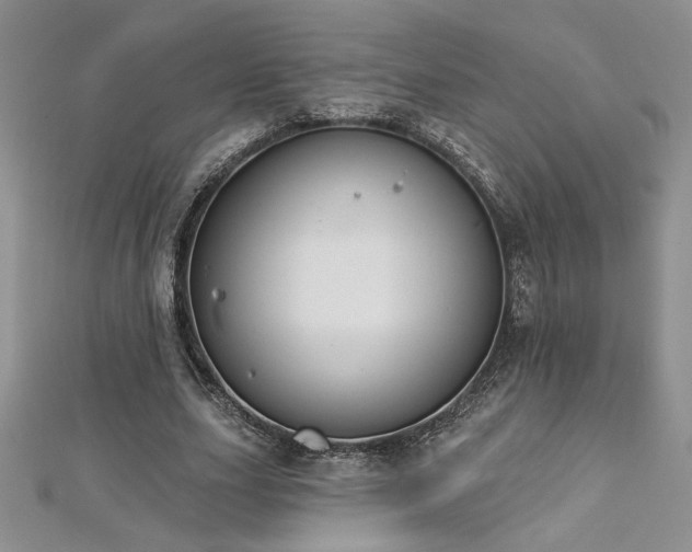 X0000113180631200909041344