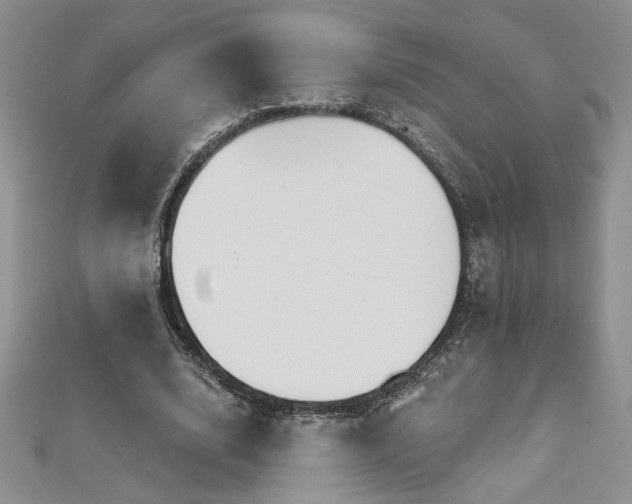 X0000113180632200909041344
