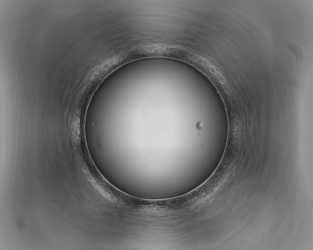 X0000113180633200909041344