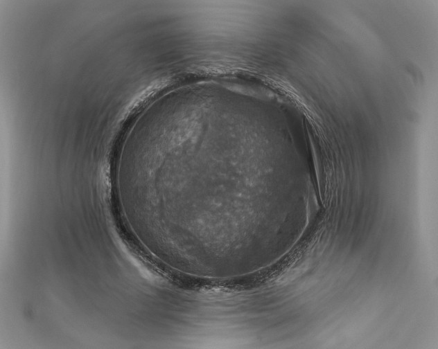 X0000113180634200909041344