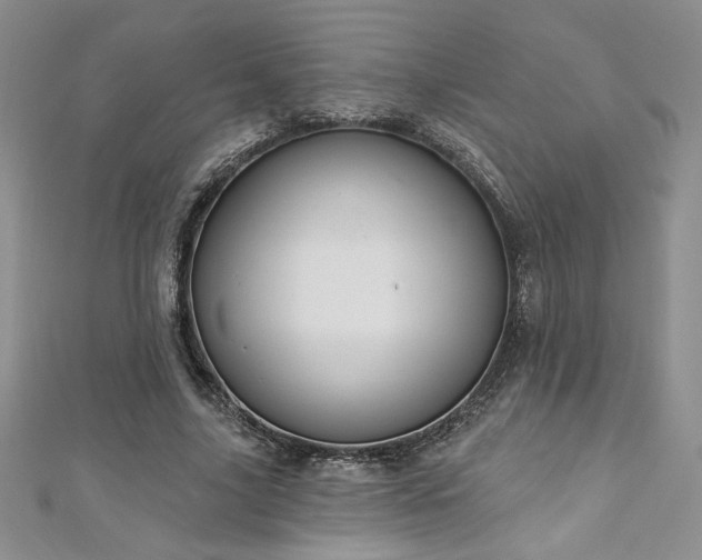 X0000113180635200909041344
