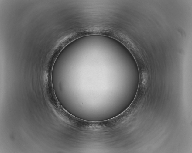 X0000113180636200909041344