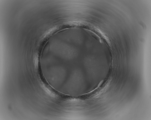X0000113180637200909041344
