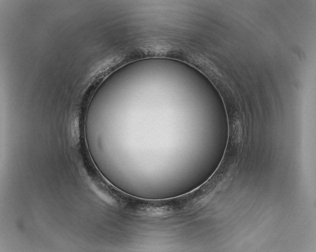 X0000113180638200909041344