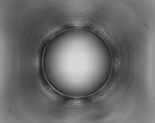 X0000113180639200909041344