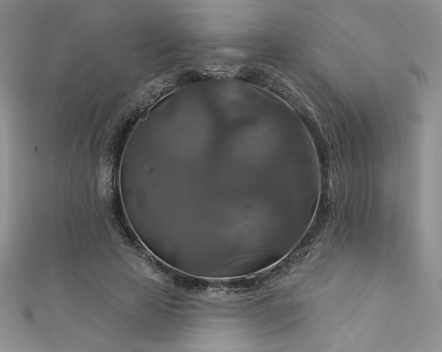 X0000113180641200909041344
