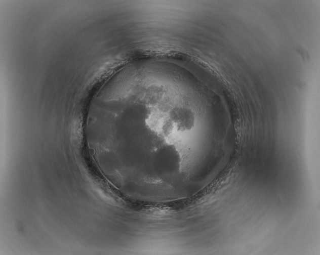 X0000113180642200909041344