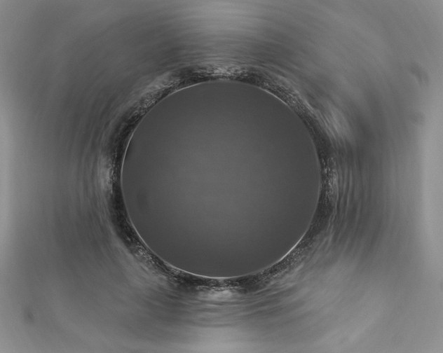 X0000113180643200909041344
