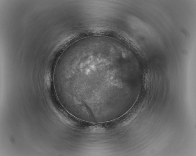 X0000113180644200909041344