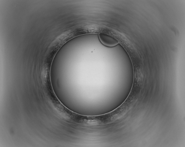 X0000113180645200909041344