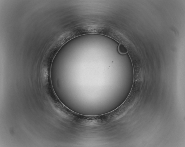X0000113180646200909041344