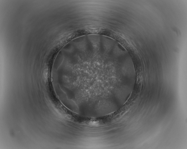 X0000113180647200909041344