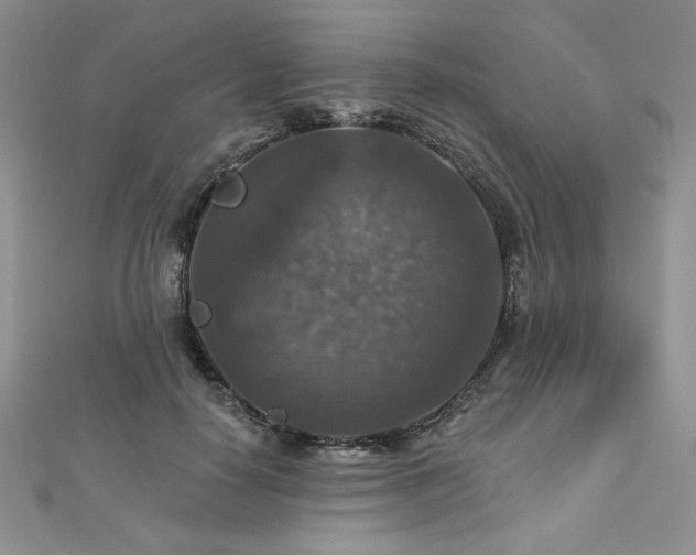 X0000113180650200909041344