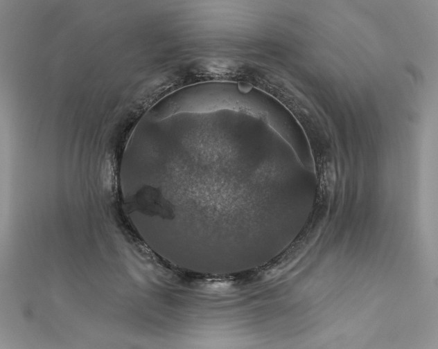 X0000113180651200909041344