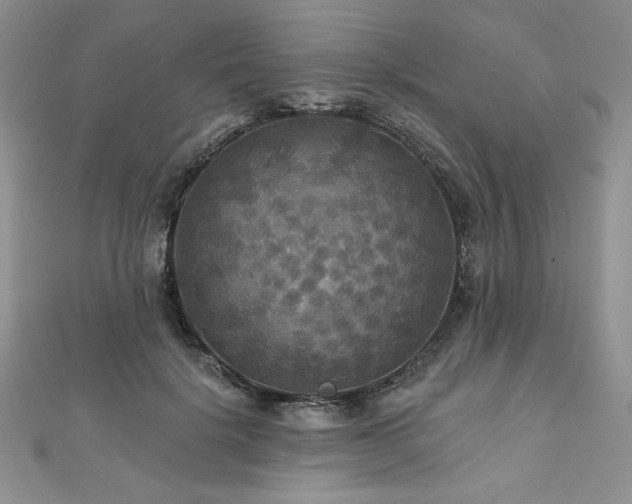 X0000113180652200909041344