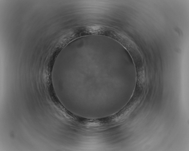 X0000113180653200909041344
