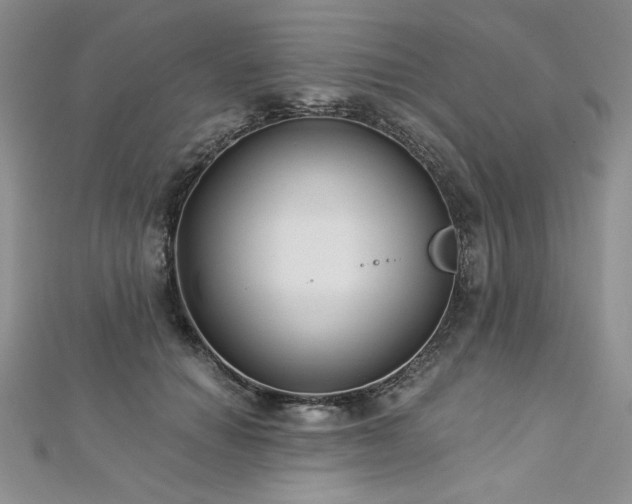 X0000113180654200909041344