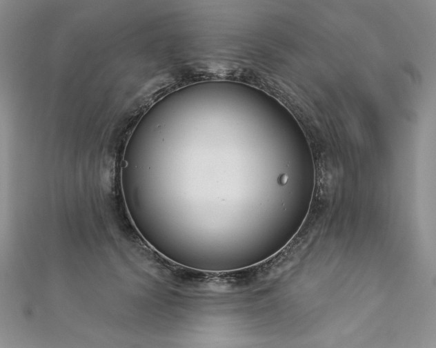 X0000113180656200909041344
