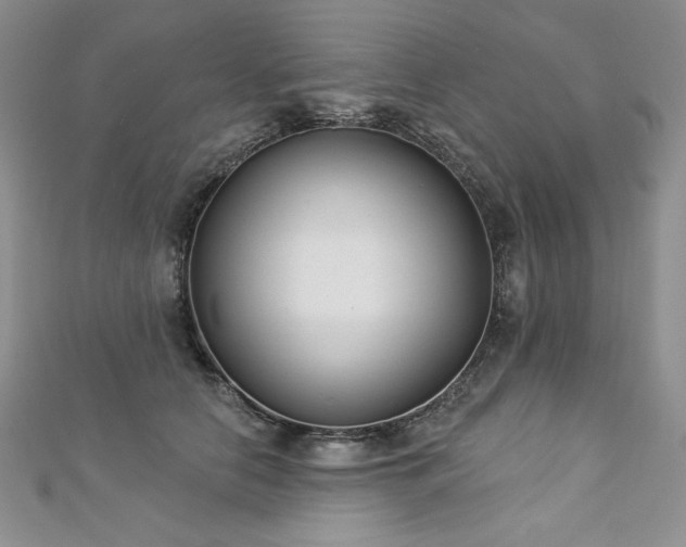 X0000113180658200909041344