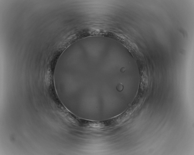 X0000113180659200909041344