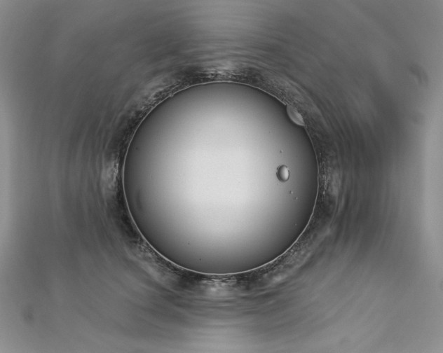 X0000113180660200909041344