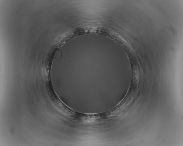 X0000113180661200909041344