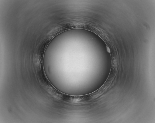 X0000113180662200909041344
