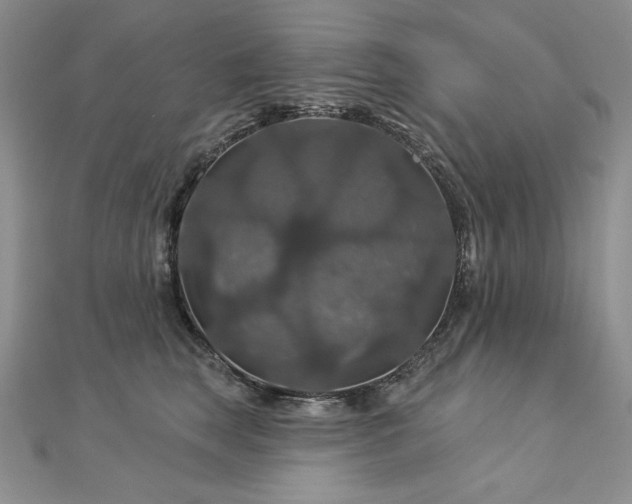X0000113180663200909041344