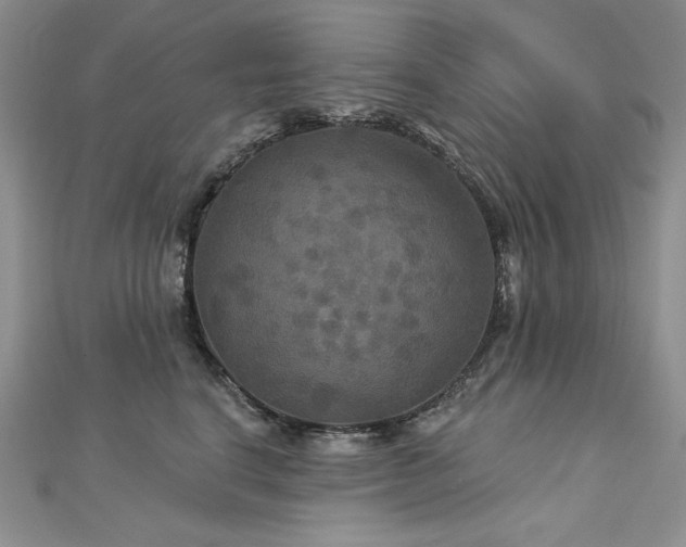 X0000113180664200909041344