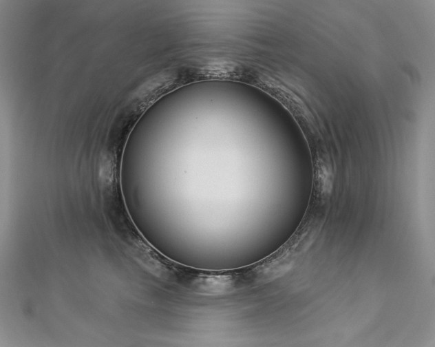 X0000113180665200909041344