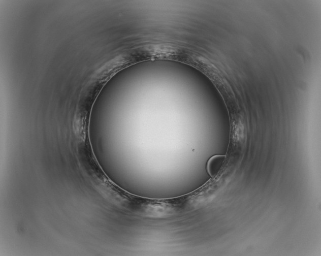 X0000113180666200909041344