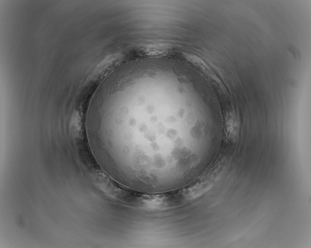 X0000113180667200909041344