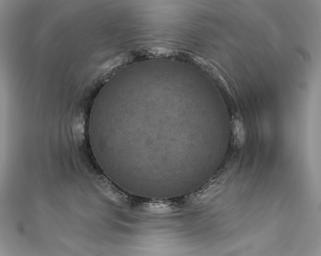 X0000113180668200909041344