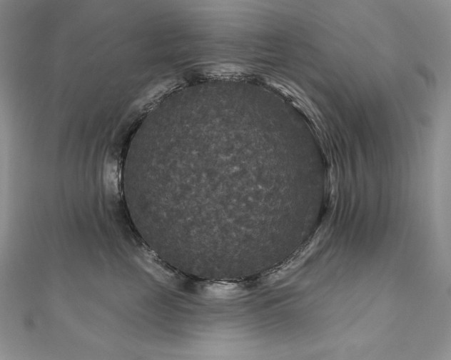 X0000113180669200909041344