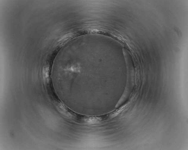 X0000113180670200909041344