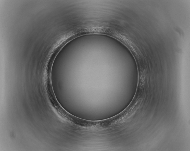 X0000113180674200909041343