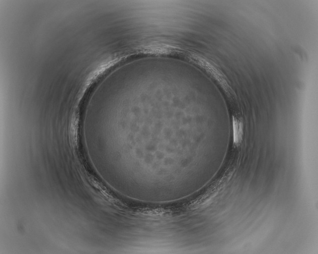 X0000113180675200909041343