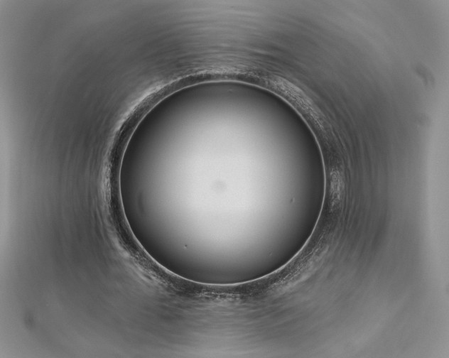 X0000113180676200909041343