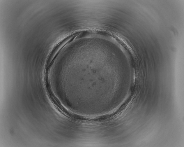 X0000113180677200909041343