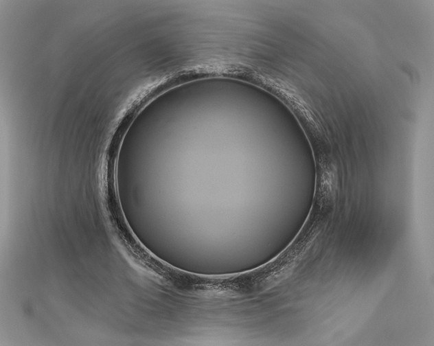 X0000113180678200909041343