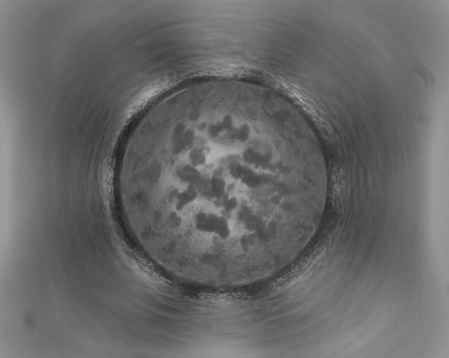 X0000113180679200909041343