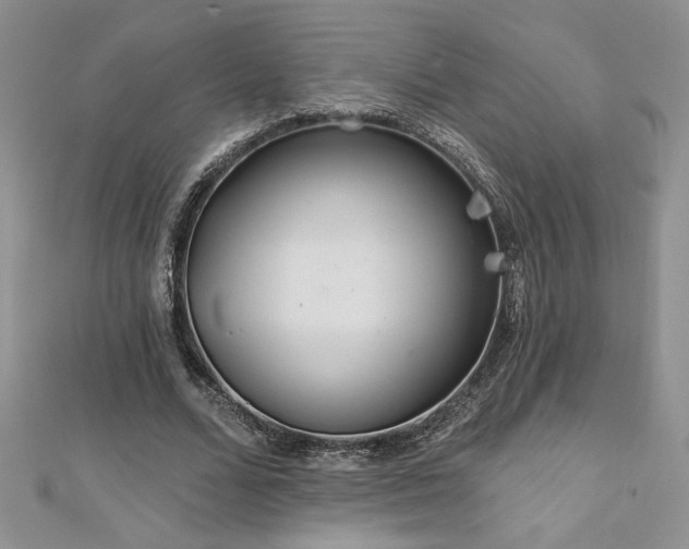 X0000113180680200909041343