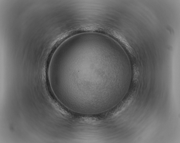 X0000113180681200909041343
