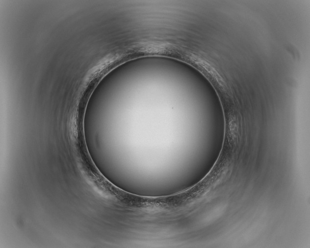 X0000113180682200909041343