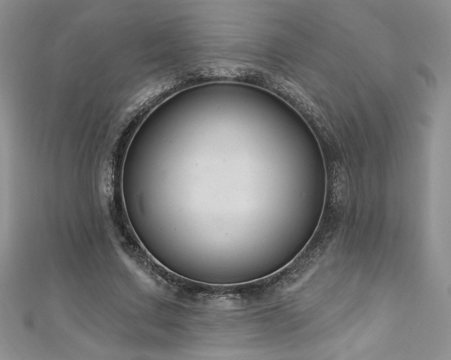 X0000113180683200909041343
